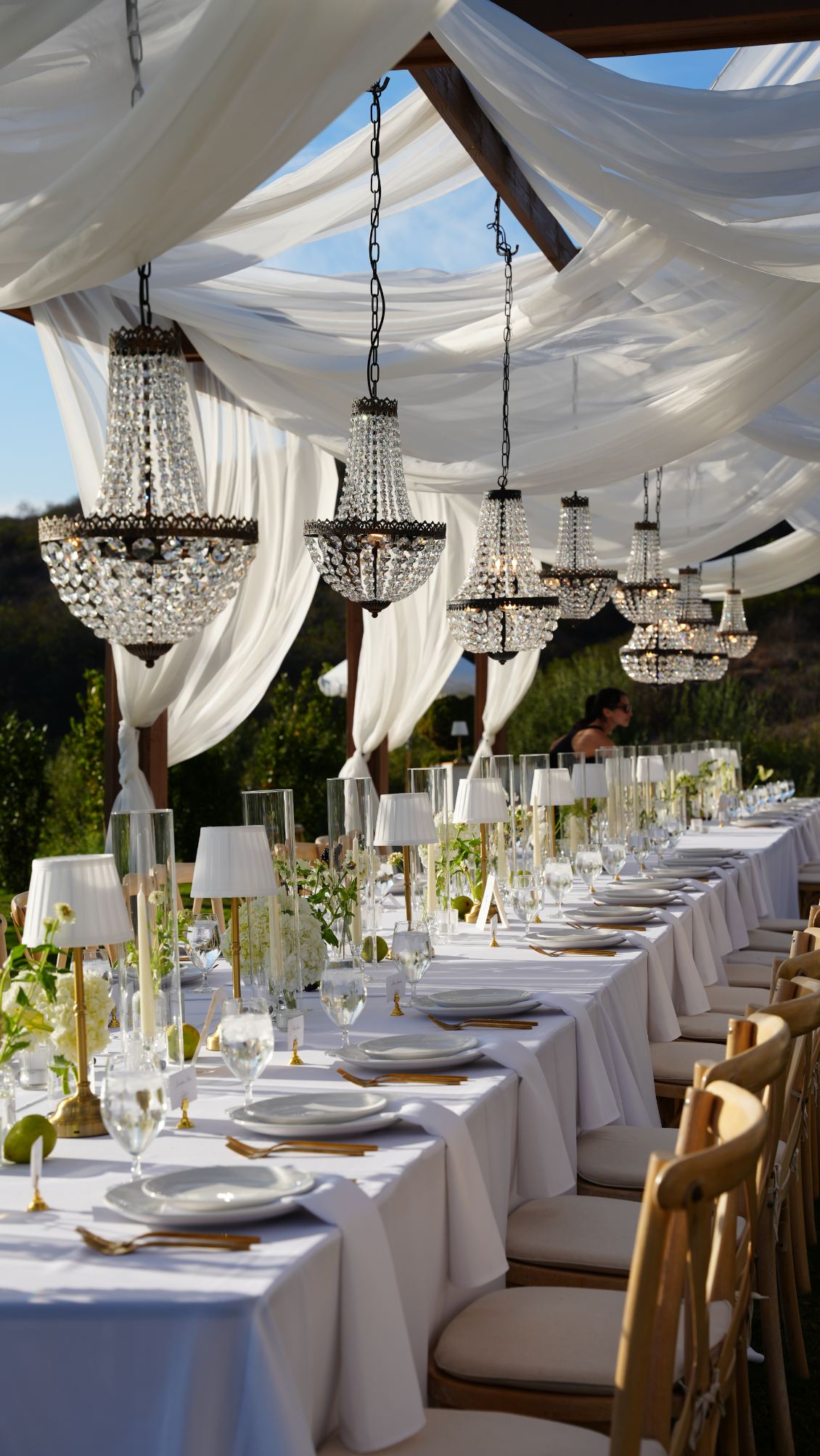 Jeune Perche, Fallbrook, CA 9